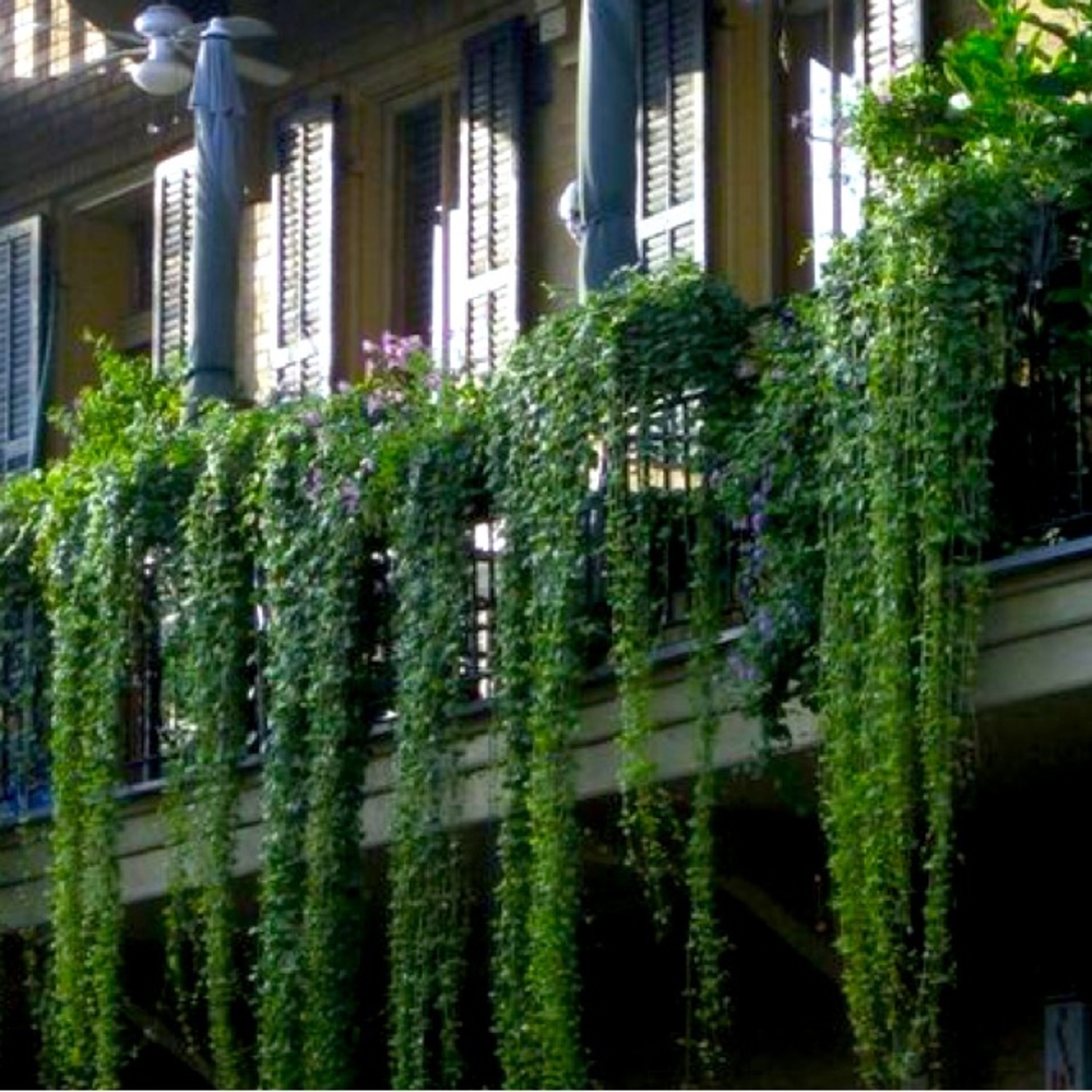 Bundle and get a deal. Thanks for shopping.